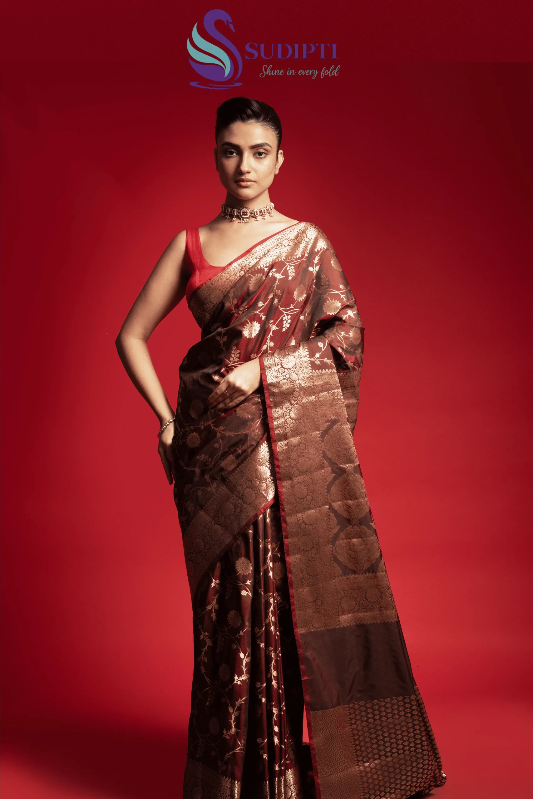 Royal Mocha Jaal Banarasi Saree