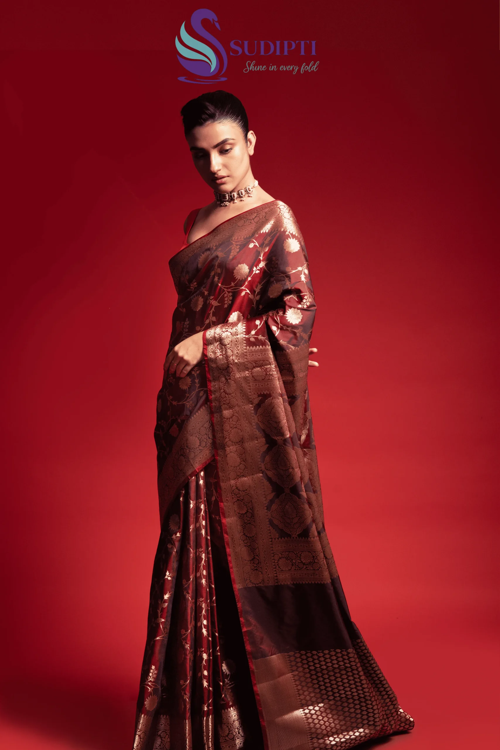 Royal Mocha Jaal Banarasi Saree