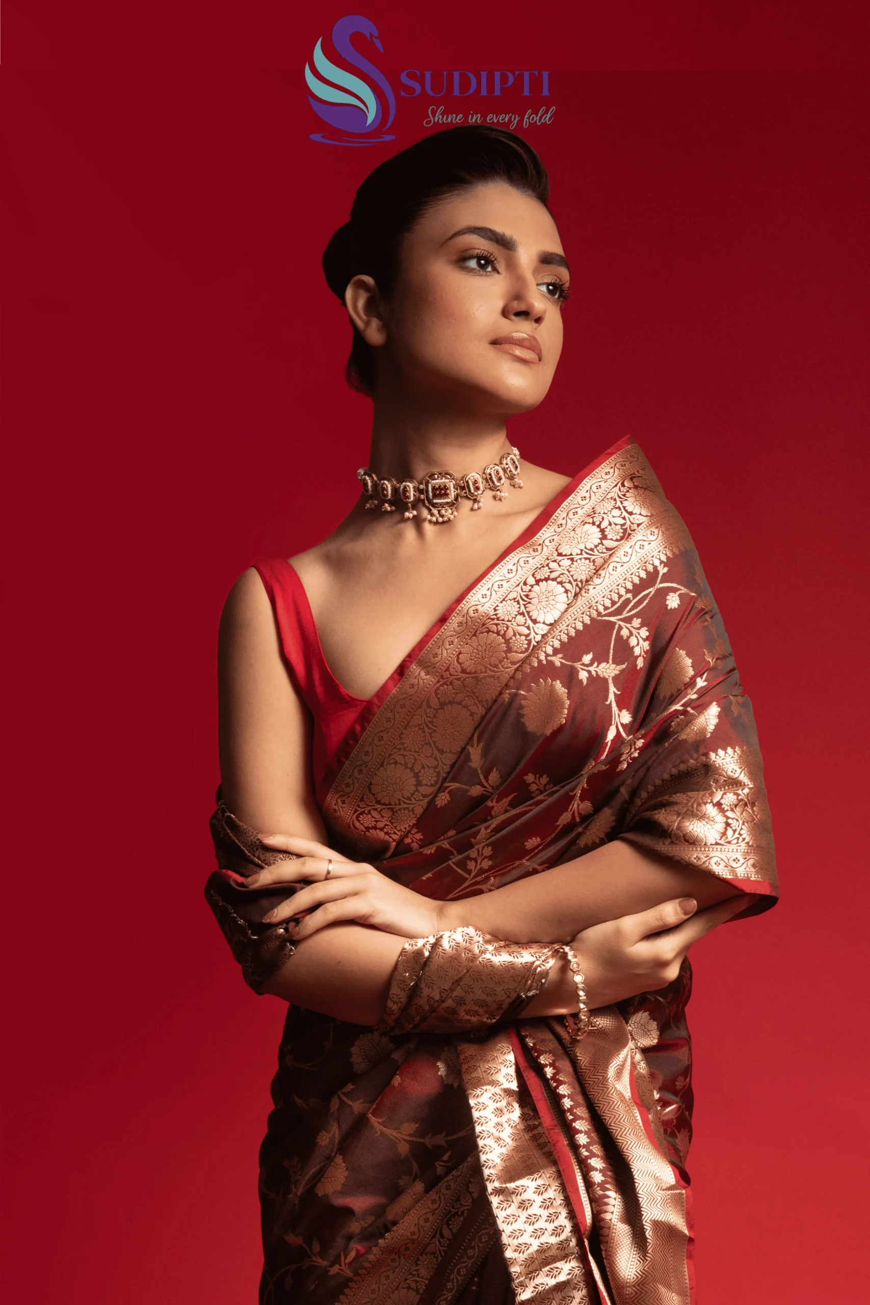 Royal Mocha Jaal Banarasi Saree