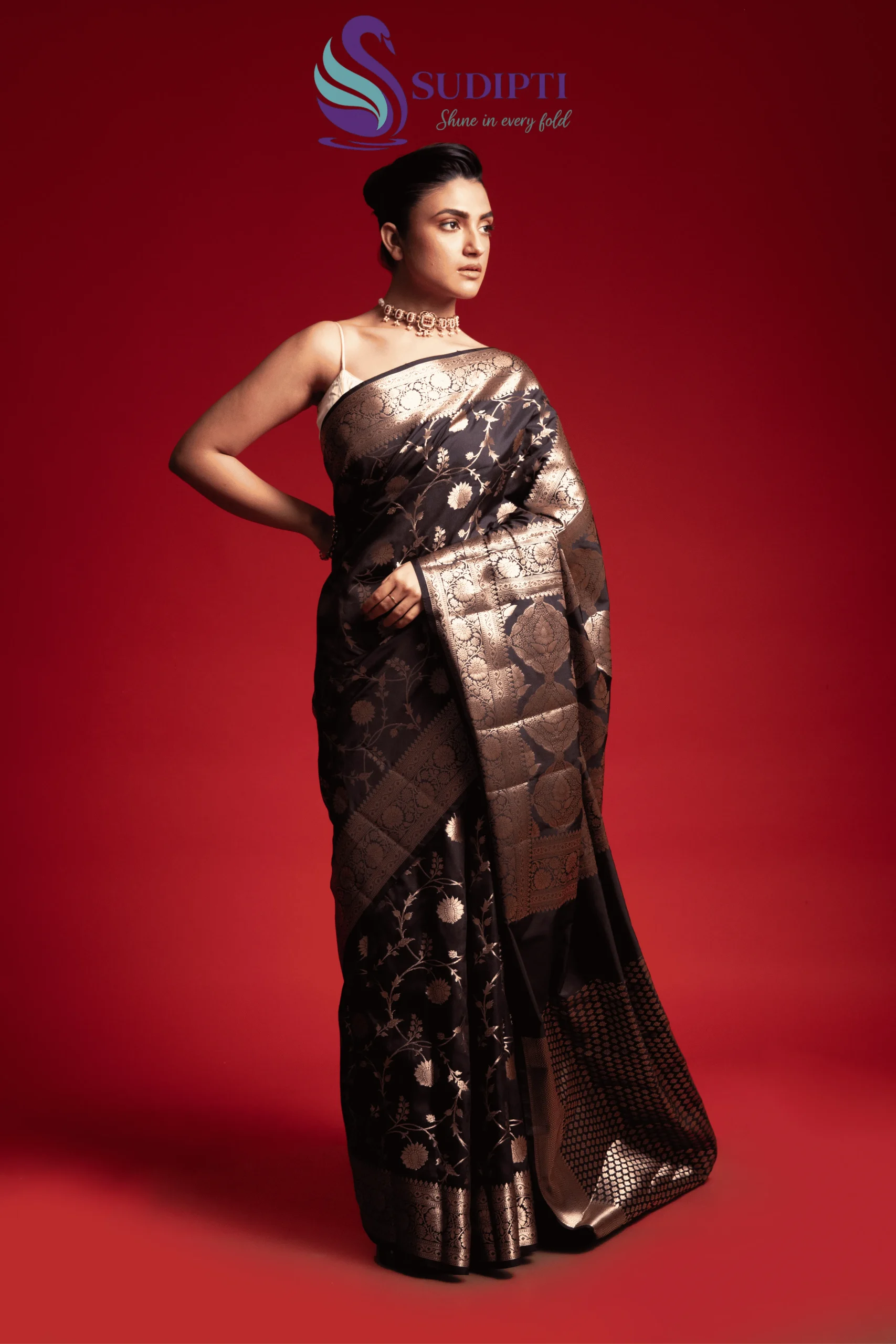 Black Royale Jaal Banarasi Saree