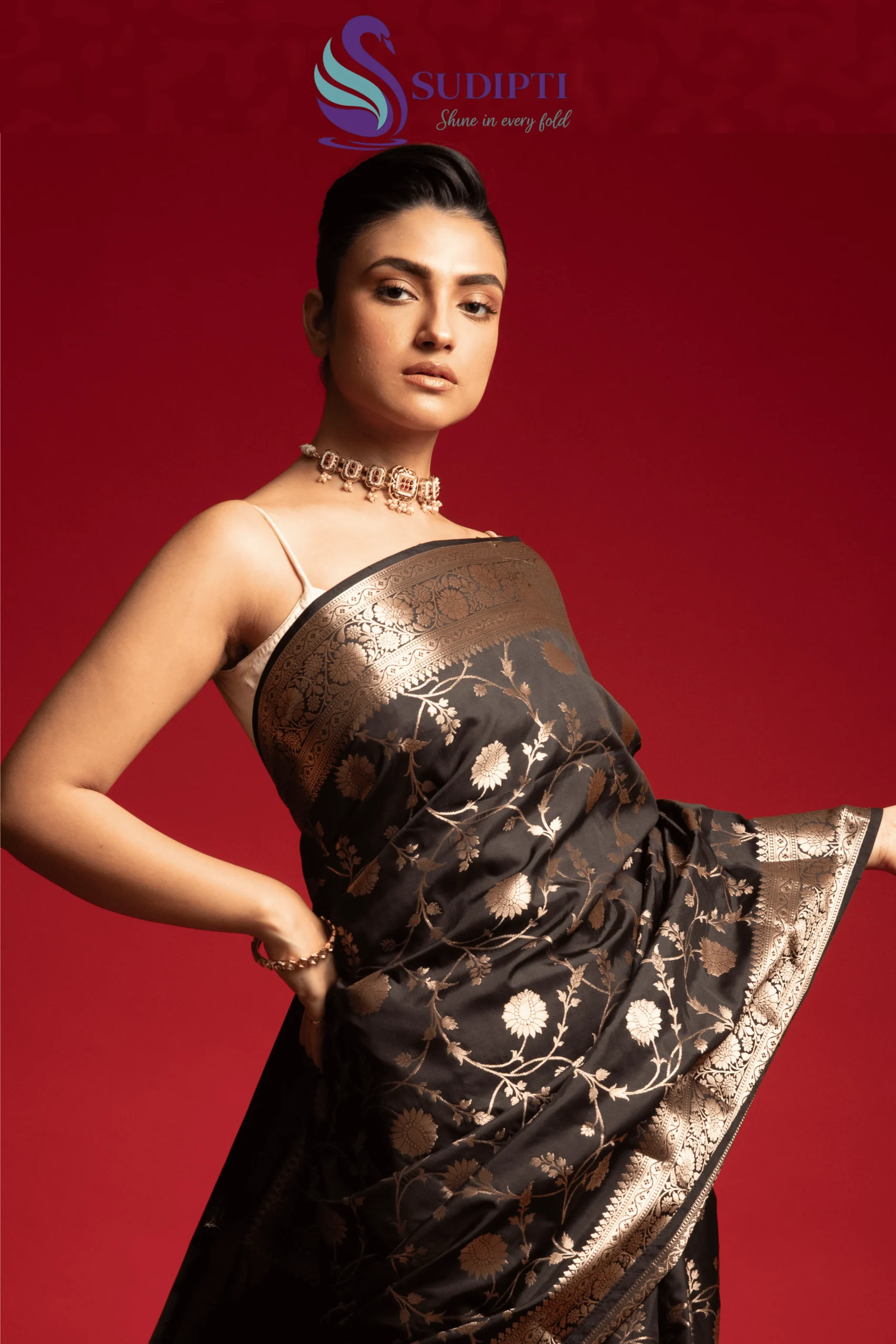 Black Royale Jaal Banarasi Saree