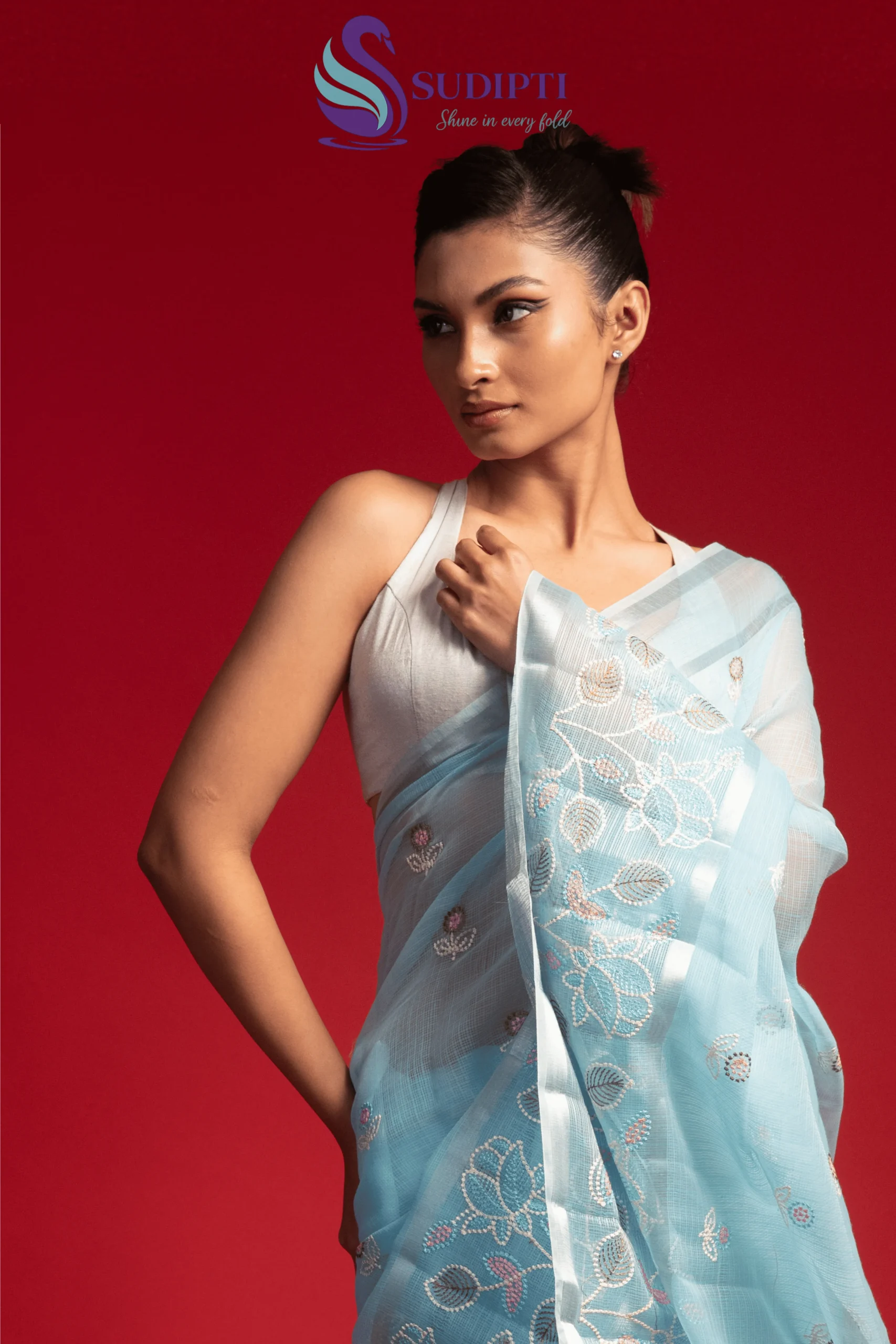 Sky Mist Banarasi Saree