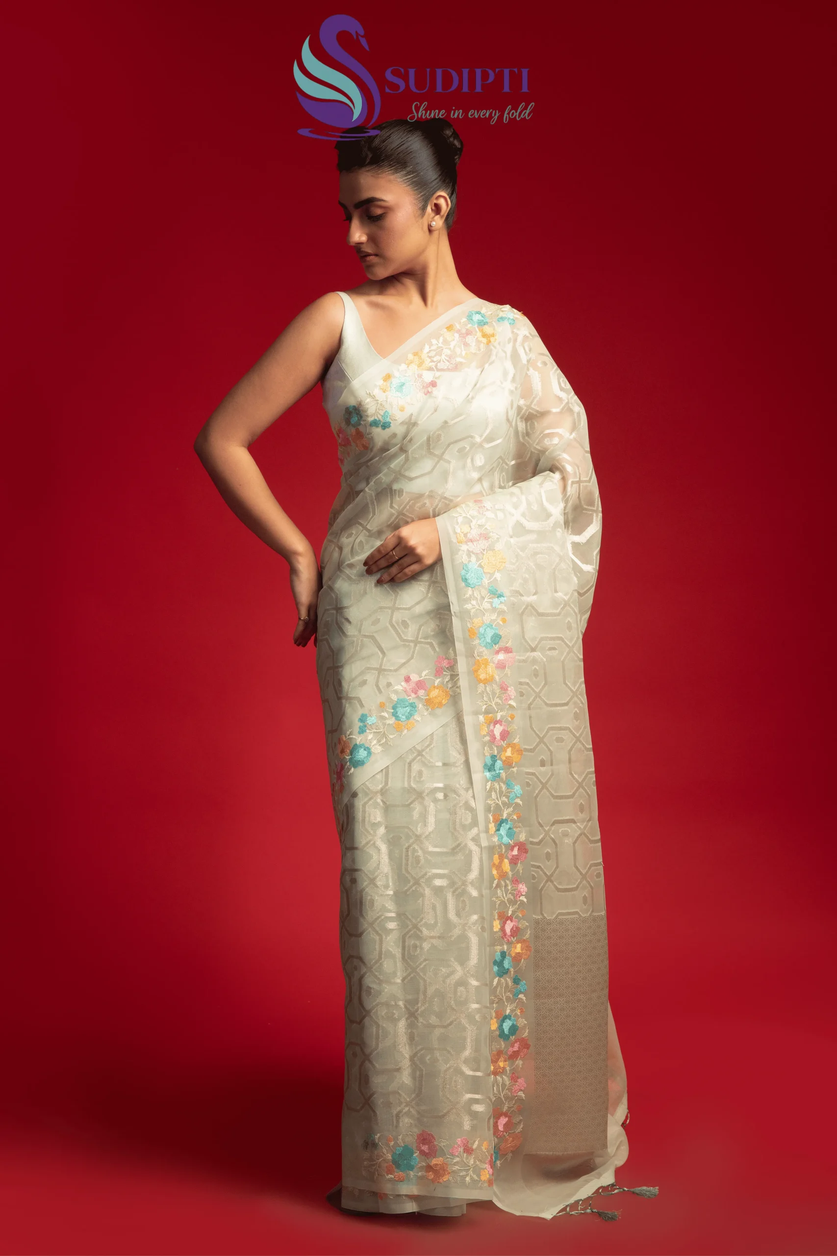 Pista Green Bloom Tissue Banarasi Saree