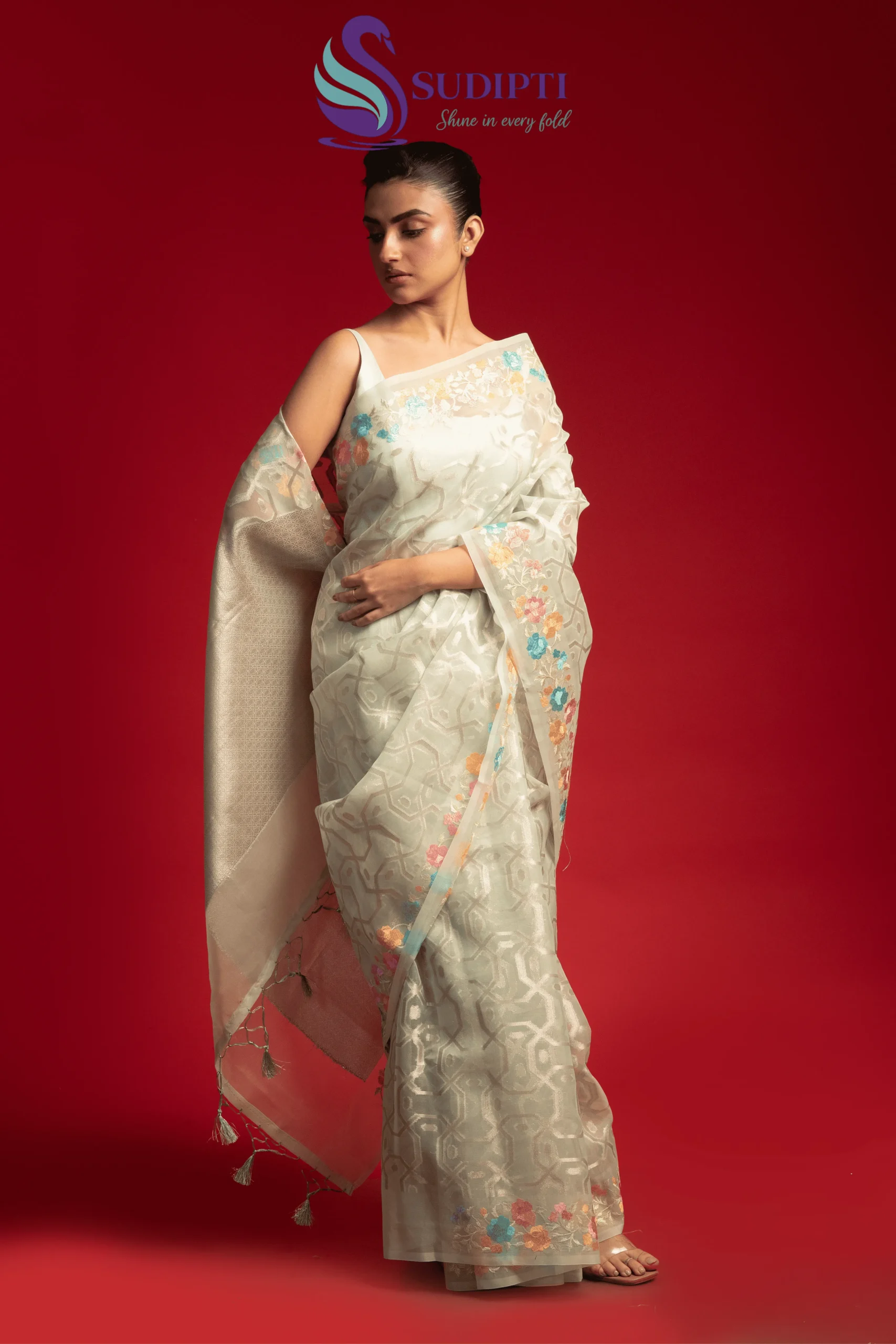 Pista Green Bloom Tissue Banarasi Saree