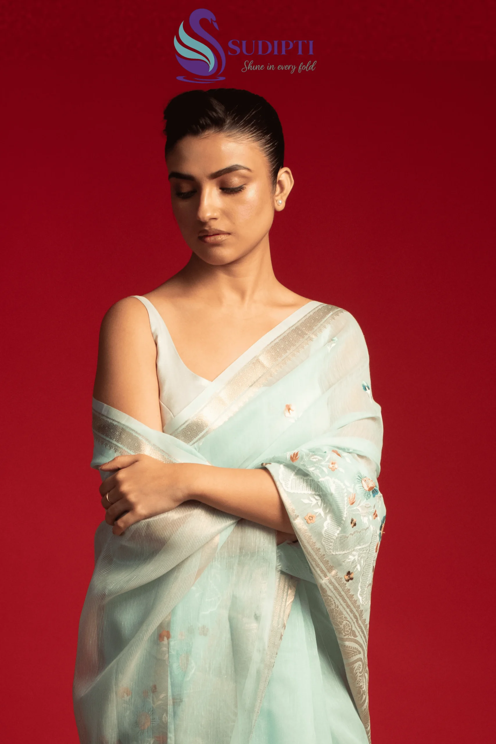 Aqua Whisper Tissue Banarasi Saree