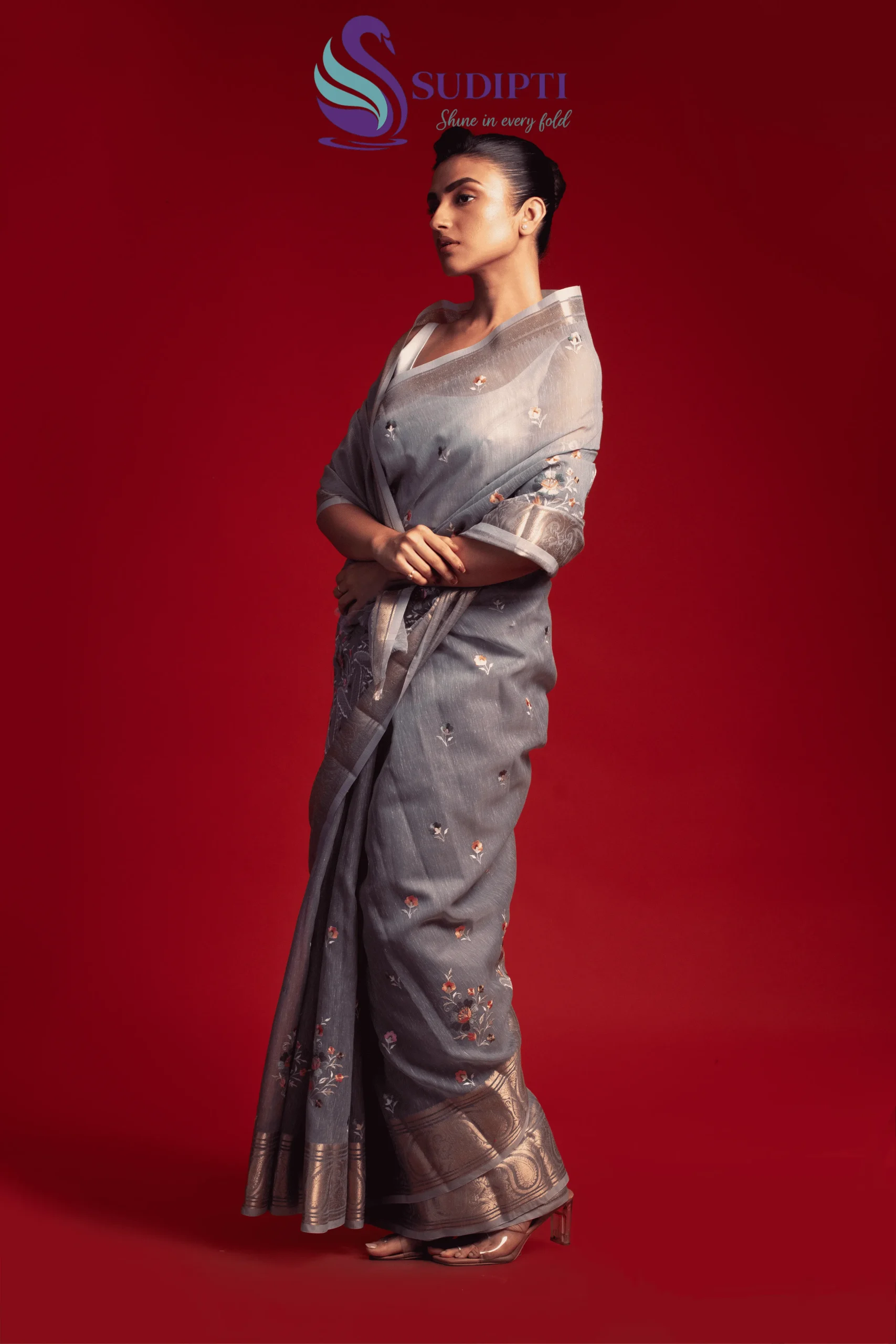 Silver Grey Banarasi Saree