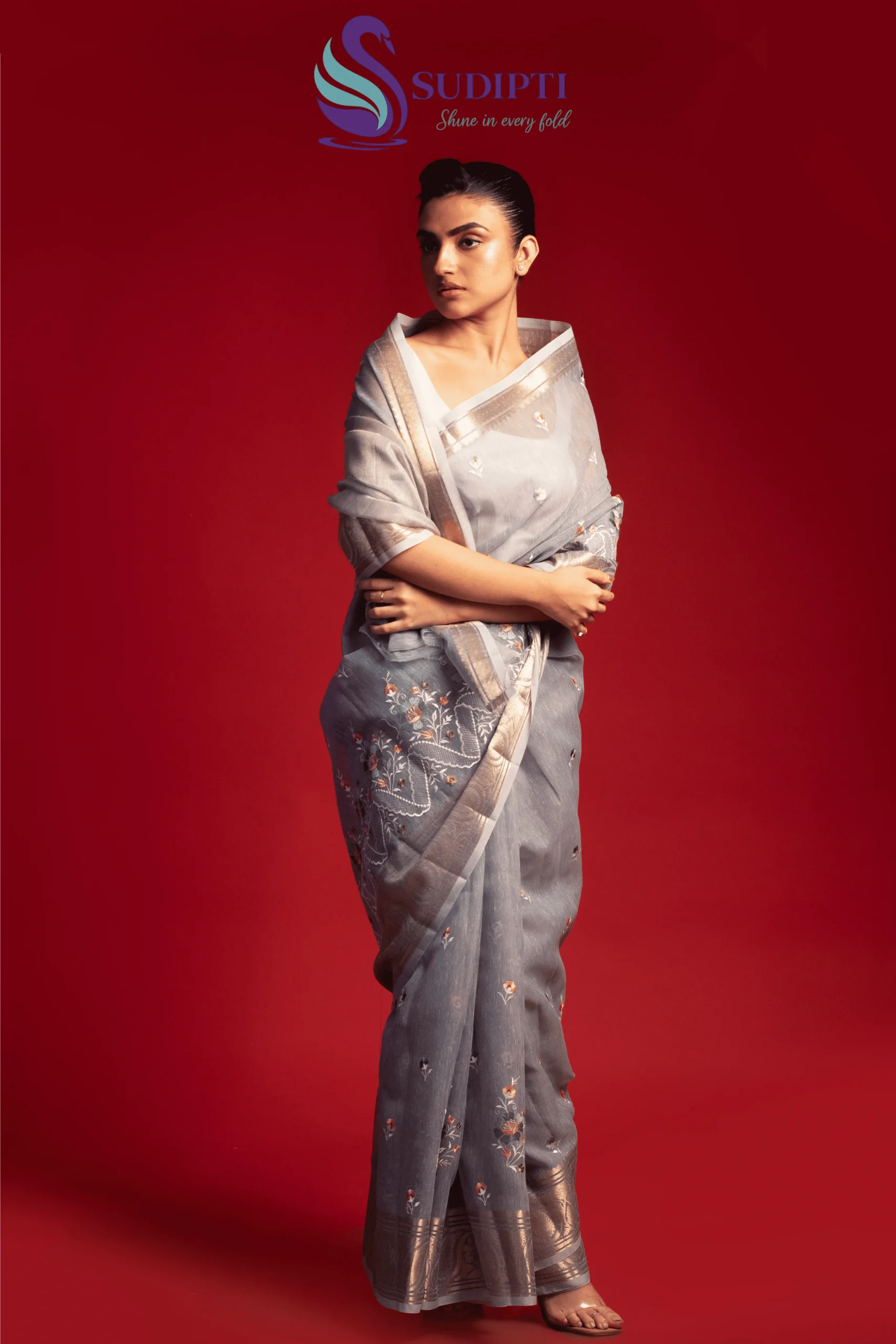 Silver Grey Banarasi Saree