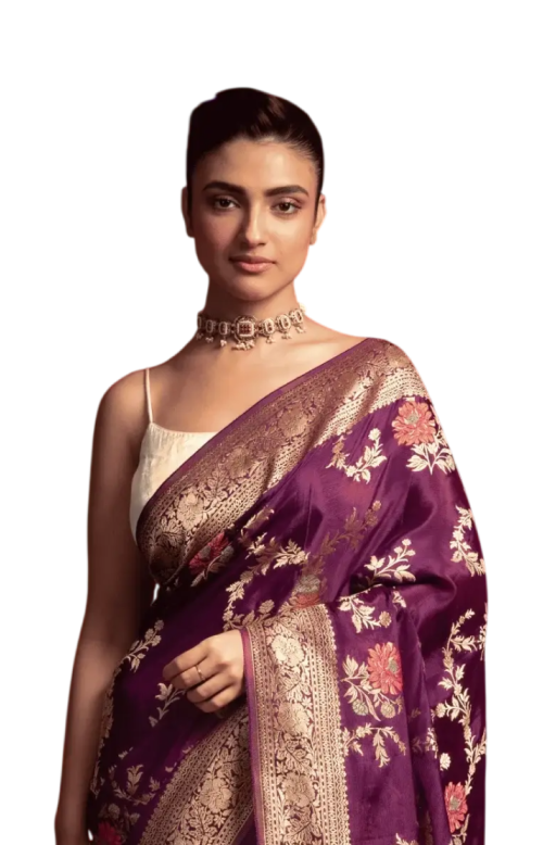 Banarasi Sarees